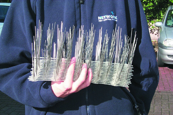 Spikes/ Vogelpen per meter (=3x33cm)