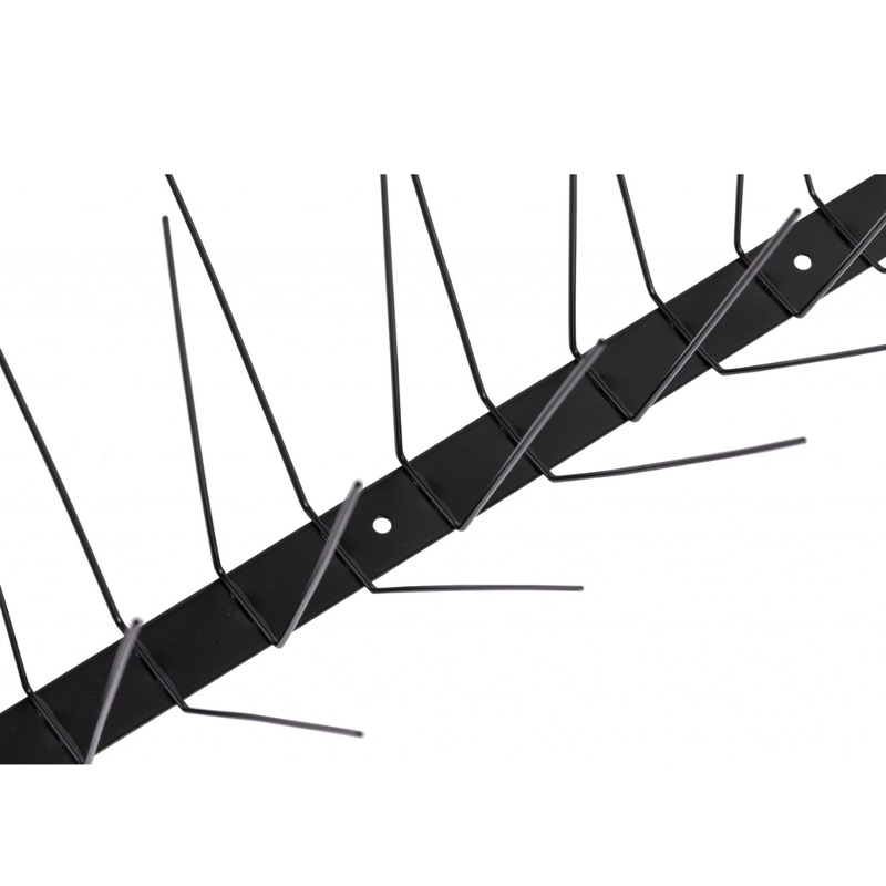 T40 Duivenpinnen 50cm